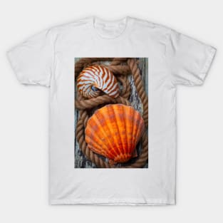 Sea Shell And Nautilus In Rope T-Shirt